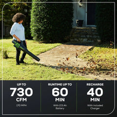 OPEN BOX 80V 730 CFM Cordless Battery Leaf Blower: 2.5 Ah Battery and Rapid Charger