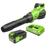 40V 730 CFM Cordless Battery Leaf Blower: 5.0 Ah Battery and 5A Charger