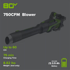 80V 750CFM Cordless Battery Leaf Blower: 2.5 Ah Battery and Charger