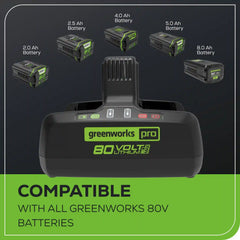 80V 8A Dual-Port Charger