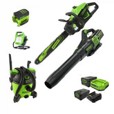 60V Storm/Flood/Power Outage Kit: (2) Batteries and (2) Chargers