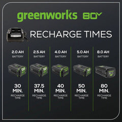 RENEWED 80V 6A Battery Charger
