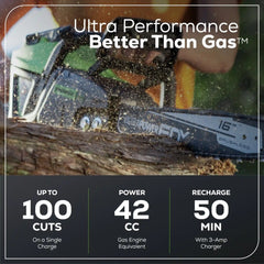 60V 16" Cordless Battery 2.0kW Chainsaw w/ 2.5Ah Battery & Charger