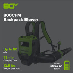 80V 800CFM Cordless Battery Dual-Port Backpack Blower: (2) 5Ah Battery and Dual-Port Rapid Charger