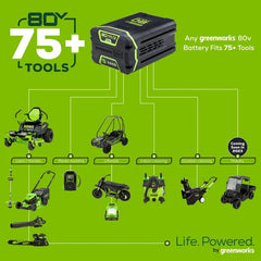 RENEWED 80V 2A Standard Charger