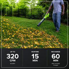 24V 320CFM Cordless Battery Leaf Blower: 2.0Ah Battery and Charger