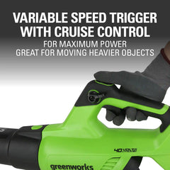 40V 500 CFM Cordless Battery Leaf Blower: 2.5 Ah Battery and Charger