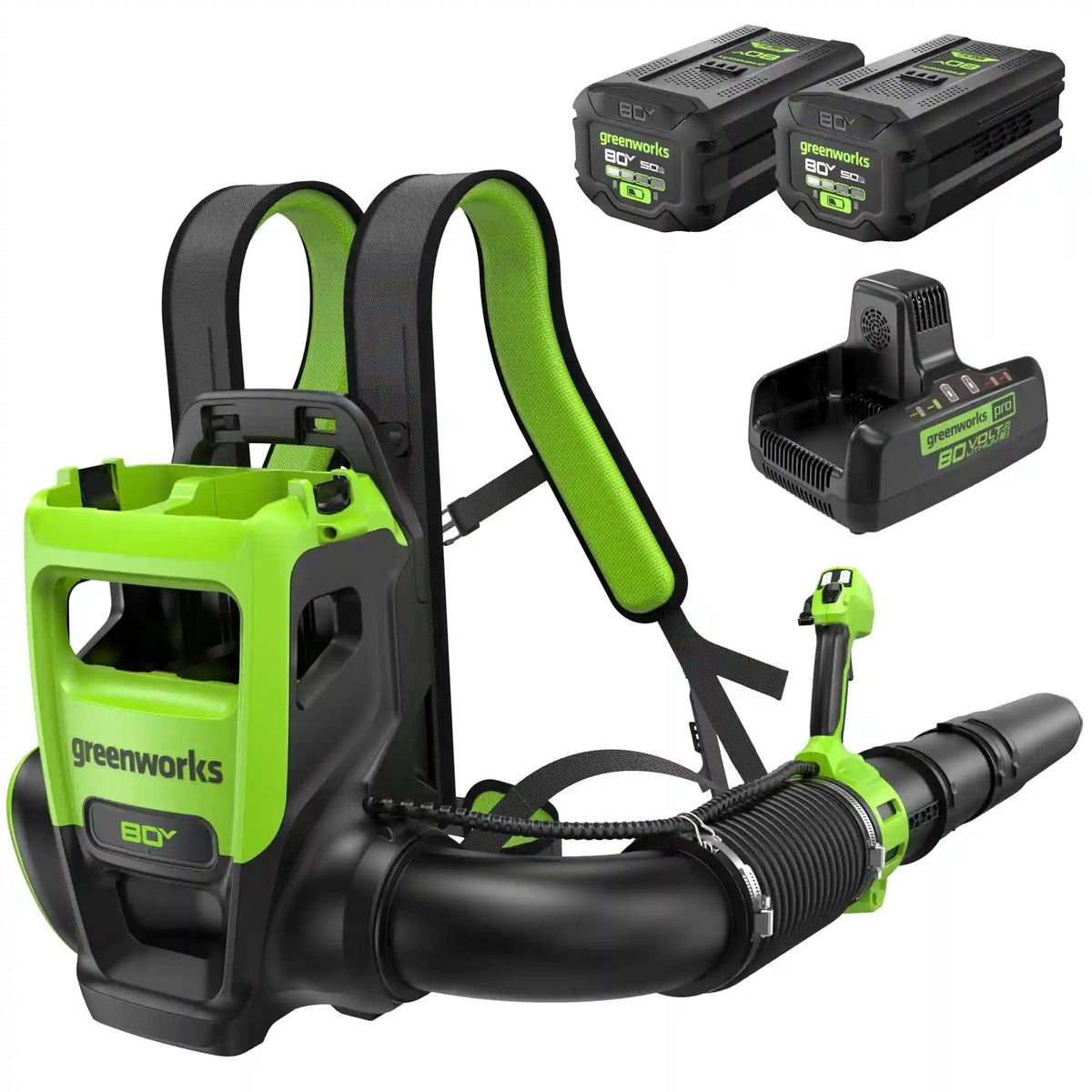 80V 800CFM Cordless Battery Dual-Port Backpack Blower: (2) 5Ah Battery and Dual-Port Rapid Charger